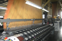 �n�������������ΙC